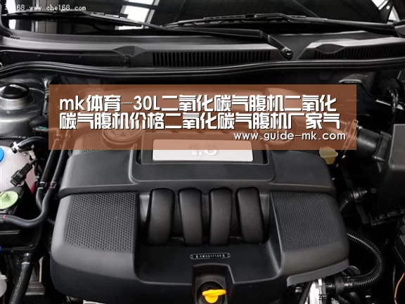 mk体育-30L二氧化碳气腹机二氧化碳气腹机价格二氧化碳气腹机厂家气腹机厂(图1) mk体育官网