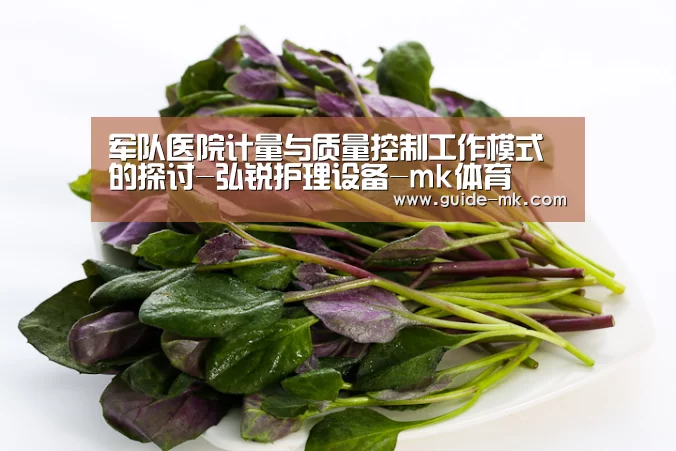 军队医院计量与质量控制工作模式的探讨-弘锐护理设备-mk体育(图1) mk体育