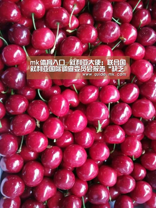 mk体育官方网站