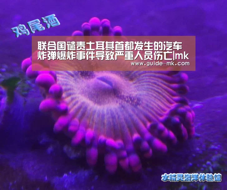 联合国谴责土耳其首都发生的汽车炸弹爆炸事件导致严重人员伤亡|mk体育官方网站(图1) mk体育官网