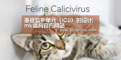 重症监护单元(ICU)的设计|mk体育官方网站(图2) mk体育官网