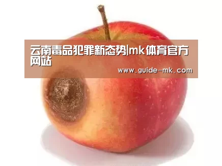 mk体育官网