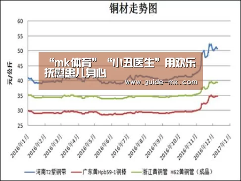 mk体育入口