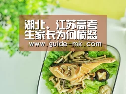 mk体育入口
