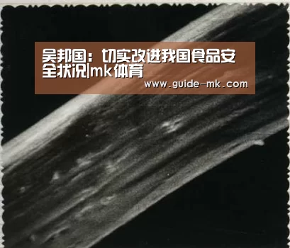 mk体育官网